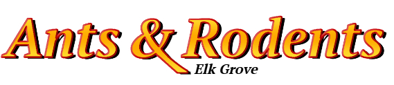 Elk Grove Ant Exterminator & Rodent Control Company Logo
